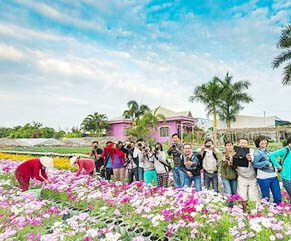 Du lịch miền Tây giá rẻ - Làng hoa Sa Đéc - Tràm chim Tam Nông - Đồng sen tháp mười từ Sài Gòn
